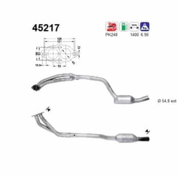 Catalyseur 45217 AS